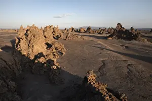 The desolate landscape of Lac Abbe, dotted with limestone chimneys, Djibouti, Africa