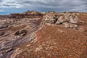 Shrubs Prints: Desolate valley of rock and sand in Petrified Forest National Park