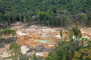 Pile Prints: Destruction of rainforest caused by gold mining, Guyana, South America