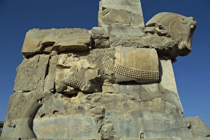 Persepolis Prints: Detail, carving of horse on gateway to Hall of One Hundred columns, Persepolis