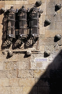 Salamanca Prints: Detail, Casa de las Conchas (House of Shells)