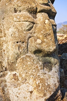 Images Dated 6th April 2009: Detail, Copan Ruins, UNESCO World Heritage Site, Honduras, Central America