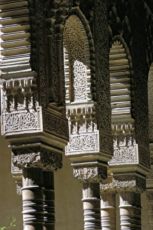Detail, Court of the Lions