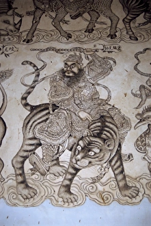 Tiger Prints: Detail, Klang House