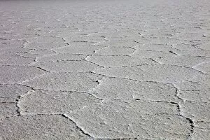 Images Dated 2nd November 2010: Details of the salt deposits in the Salar de Uyuni salt flat, southwestern Bolivia, Bolivia