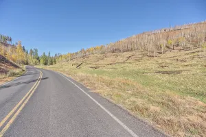 Loss Prints: Devastation on cape royal road at grand canyon north rim from dragon bravo wildfire in 2025