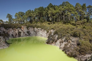 Geothermal Gallery: The Devils Bath, Waiotapu Goethermal Wonderland, Rotorua, New Zealand, Oceania