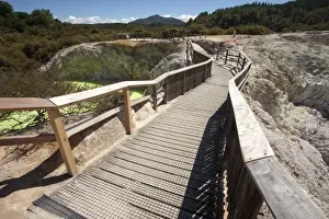 The Devils Bath Walkway, Waiotapu Goethermal Wonderland, Rotorua, New Zealand, Oceania