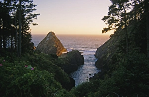Images Dated 18th January 2000: Devils Elbow State Park