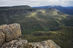 Australasian Prints: Devils Gullet, Great Western Tiers, Tasmania, Australia, Pacific