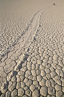 Cracking Prints: Devils Racetrack
