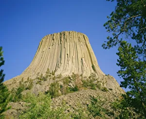 Volcanic Prints: Devils Tower National Monument