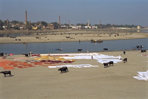 Laundry Prints: Dhobis washing by the Yamuna River