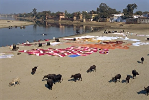 Dhobis washing by the Yamuna River