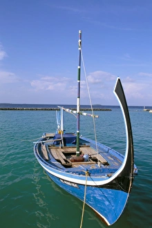 Dhoni Prints: Dhoni, Baa Atoll