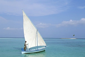 Dhoni Prints: Dhoni and sandbar