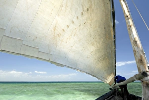 Tanzanian Prints: Dhow, Pangani, near Tanga, Tanzania, East Africa, Africa