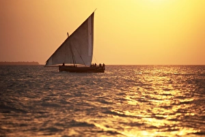 Dhow Prints: Dhow in silhouette on the Indian Ocean at sunset, off Stone Town, Zanzibar