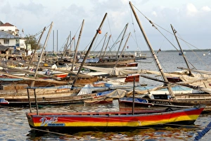 Dhow Prints: Dhows on quayside, Old Town, Lamu island, UNESCO World Heritage Site, Kenya