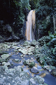 Botanical Garden Prints: The Diamond Waterfalls at the Diamond Botanical Gardens