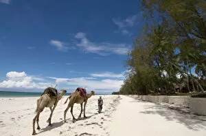 Diani Beach, near Mombasa, Kenya, East Africa, Africa
