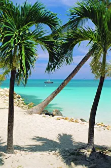 Exotic Prints: Dickensons Bay, Northeast coast, Antigua, West Indies