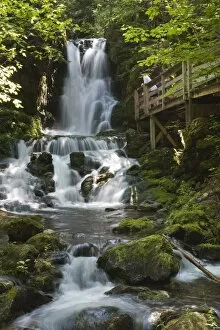 Dickson Falls in Fundy National Park, New Brunswick, Canada, North America