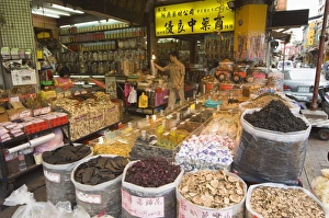 Taipei City Prints: Dihua Street