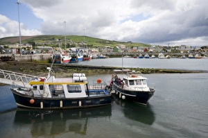 Dingle Prints: Dingle Harbour with fishing boats, Dingle, County Kerry, Munster, Republic of Ireland
