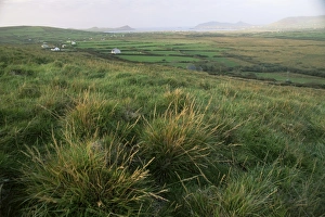 Images Dated 29th January 2000: Dingle Peninsula
