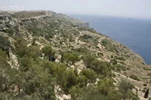 Images Dated 10th June 2008: Dingli Cliffs, Malta, Europe