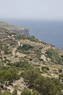 Images Dated 10th June 2008: Dingli Cliffs, Malta, Europe