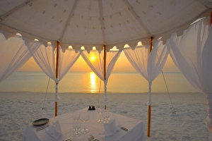 Images Dated 9th February 2009: Dinner at the beach, Maldives, Indian Ocean, Asia