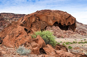 Damaraland Prints: Dinosaur head rock, Twyfelfontein