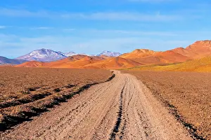 Barren Prints: Dirt road in the arid highlands, Puna, Argentina