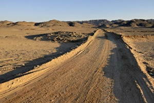 Arid Landscape Prints: Dirt road, Nubian Desert