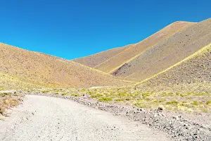 Dirt Prints: Dirt track through yellow slopes, Vega de los Colorados, Puna, Catamarca, Argentina