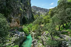 Antalya Prints: Discover Yazili canyon with turquoise water and trees among rocky cliffs on a sunny day in Antalya Turkey
