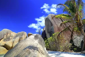 Bright Prints: Discovering the unique rock formations
