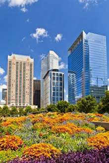 Traditionally American Gallery: Discovery Green, Houston, Texas, United States of America, North America