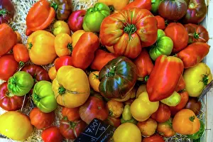 Time Prints: Display of red, yellow, green and black tomatoes at a market in France during the harvest season