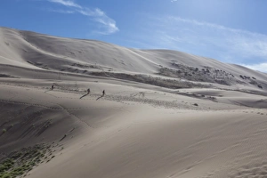 Descending Prints: Distant people descending a huge sand dune, iridescent on a summer evening, Khongoryn Els
