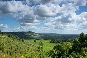 Surrey Collection: Distant view of Box Hill, near Dorking, Surrey Hills, North Downs, Surrey