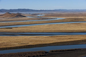 Images Dated 29th October 2009: Distant yaks graze on the banks of the Yellow River in Sichuan Province, China, Asia
