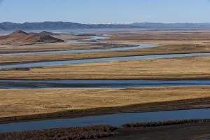 Sichuan Province Prints: Distant yaks graze on the banks of the Yellow River in Sichuan Province, China, Asia