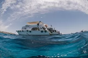 Search Results: Dive Boats, low angle view, Ras Mohammed National Park, Red Sea, Egypt, North Africa, Africa