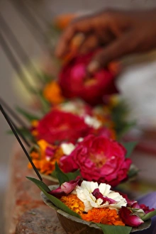 Offerings Prints: Diyas (floral floats with incense), Rishikesh, Uttarakhand, India, Asia