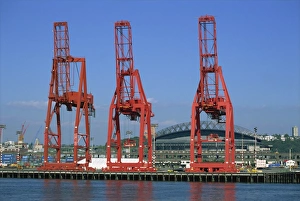 Crane Prints: Dockside cranes, Seattle, Washington state, United States of America, North America