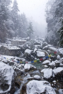 Religions Prints: Dodh Kosi River, Khumbu (Everest) Region, Nepal, Himalayas, Asia