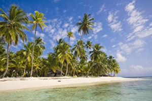 Images Dated 17th January 2008: Dog Island, Comarca de Kuna Yala, San Blas Islands, Panama, Central America